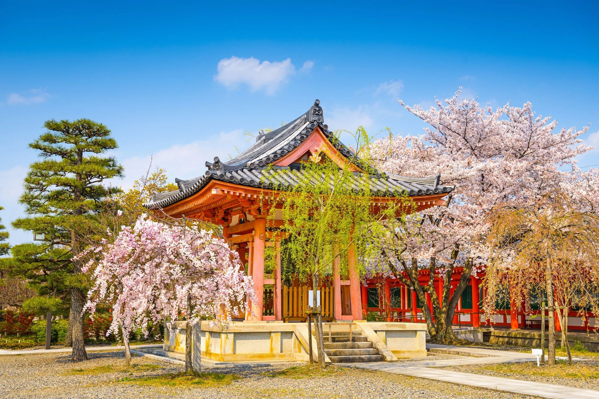 桜と風景の日本画・長命寺之境内 桜と風景の日本画・長命寺之境内